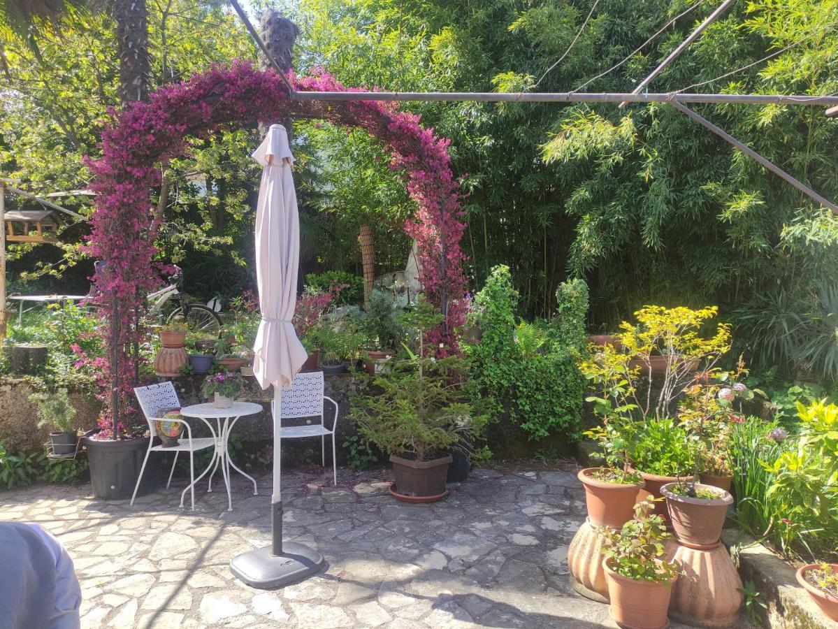 Apartment Valenta Porec Esterno foto